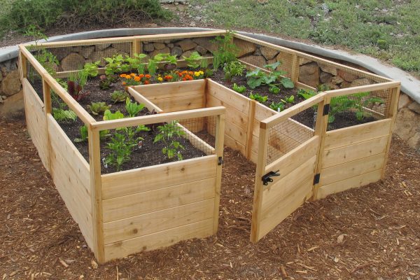 Gardens To Gro – Ready-made Vegetable Gardens