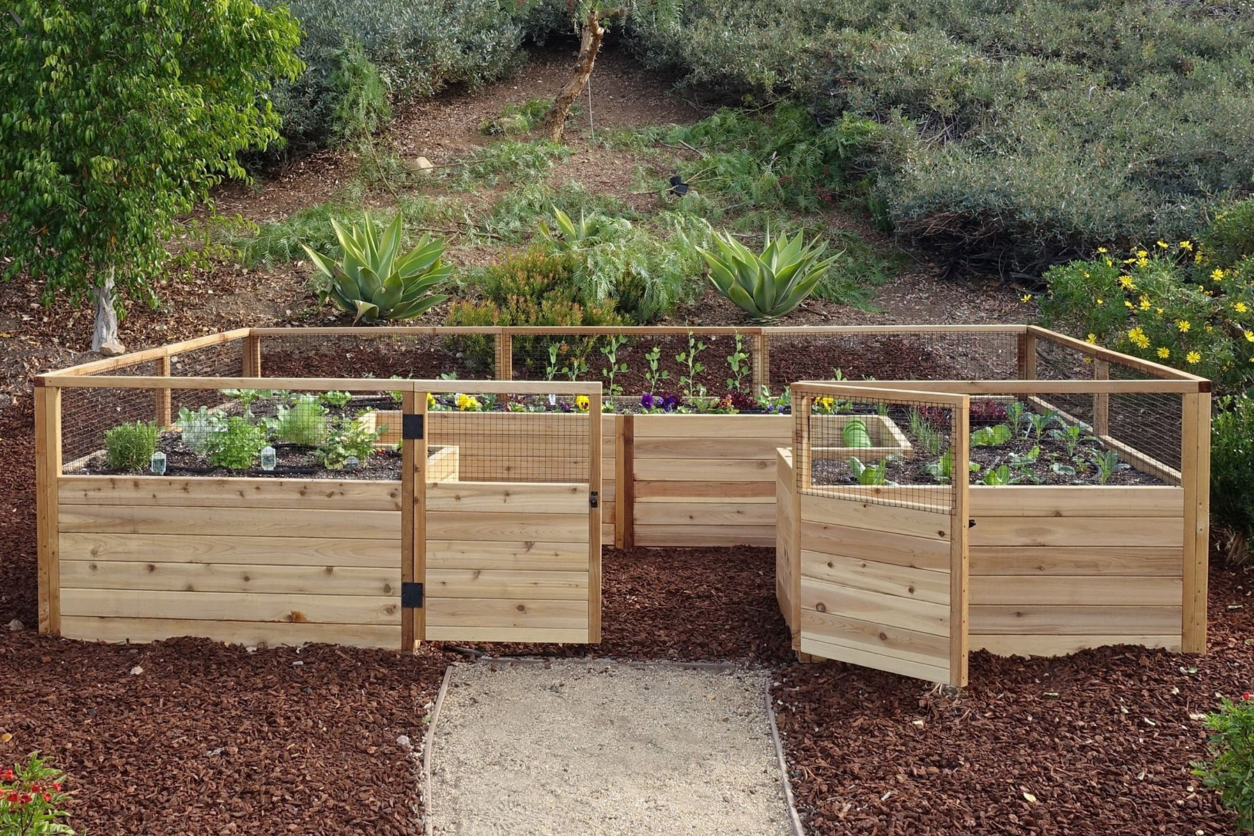 Raised Beds for Vegetable Gardening