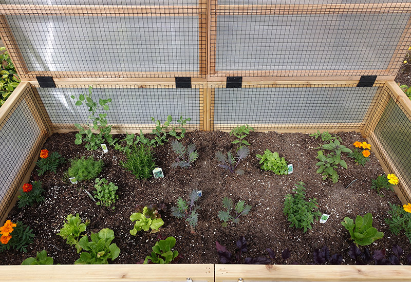 Fabric Raised Garden Bed, 3Ft X 6Ft Garden Grow Bags Planting Bed Rectangle  Gard