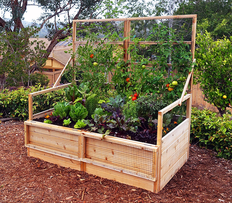 https://www.gardenstogro.com/wp-content/uploads/2022/01/3x6-convertible-raised-garden-bed-2.jpg