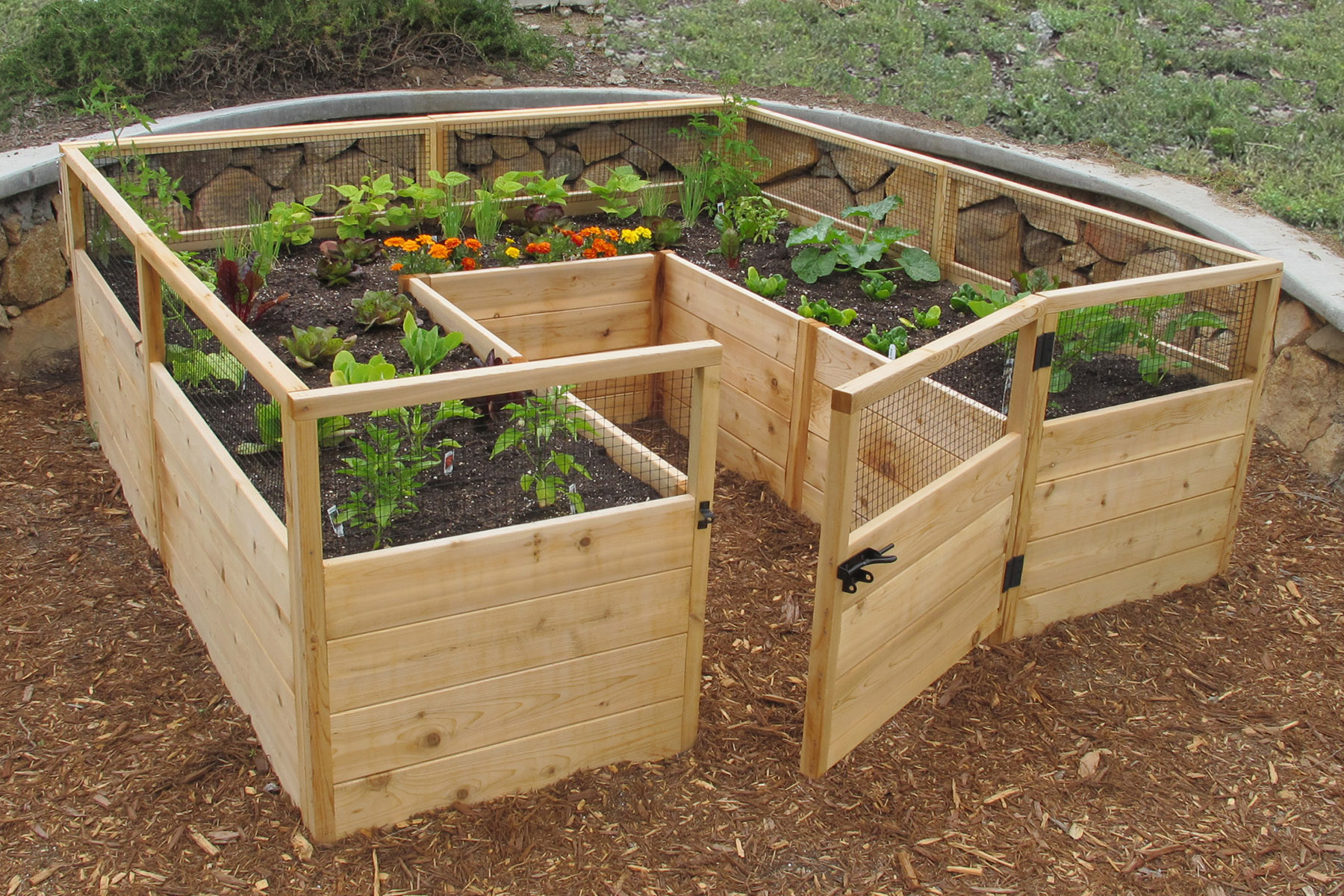 Vegetable Garden Kit