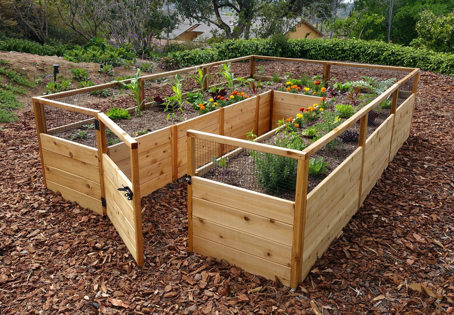 8’x12′ Complete Vegetable Garden Kit – Gardens To Gro