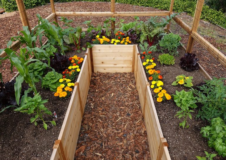 8’x12′ Complete Vegetable Garden Kit – Deer Proof – Gardens To Gro